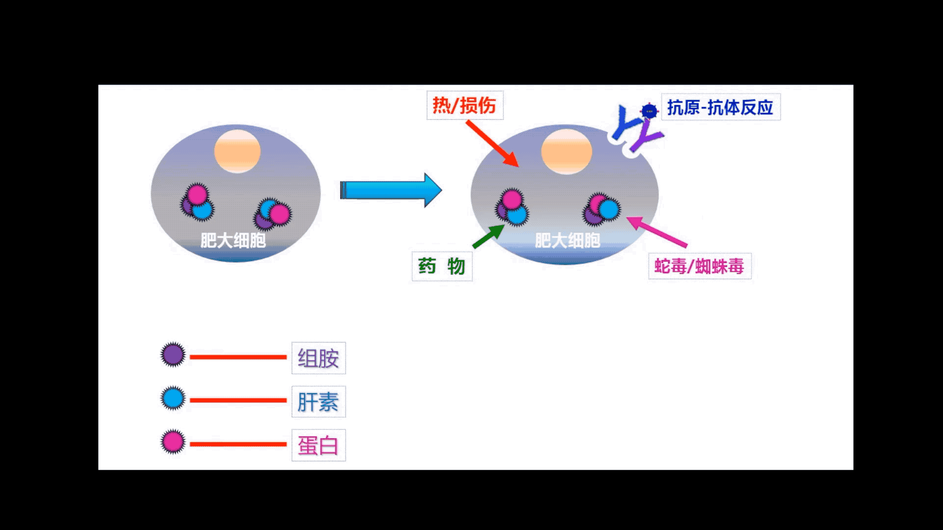 辟謠丨被蚊蟲(chóng)叮咬后，涂抹唾液非但不能止癢，還有可能會(huì)引起感染