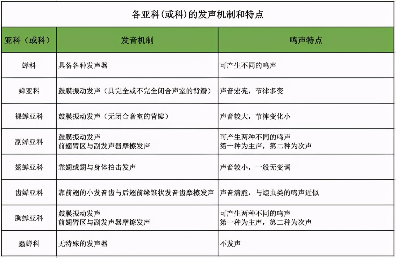 為什么天越熱，蟬叫得越厲害？原來是這個原因
