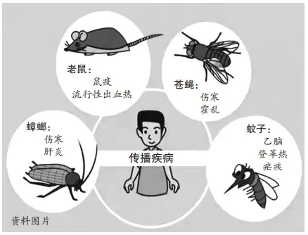 洪澇災(zāi)害過(guò)后蟲鼠泛濫？怎么防蚊蟲？怎么防鼠滅鼠？