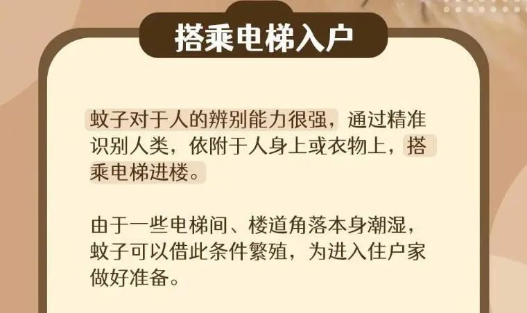 為什么不管住幾樓都有蚊子？