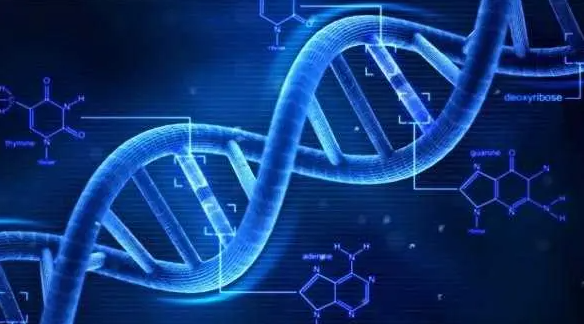 它攜帶“上百種”致命病毒，為何能活的很好？