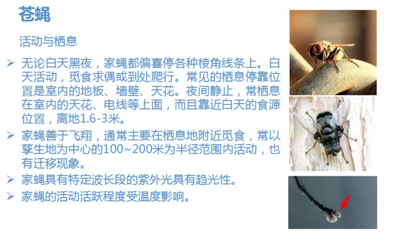 如何制作蟲害問(wèn)題反饋報(bào)告(附完整版案例介紹)