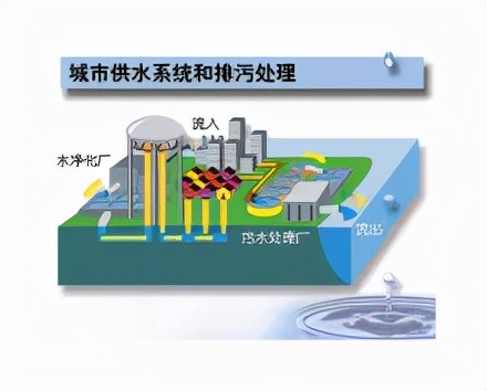 暴雨過(guò)后，蟲媒傳染病易流行？如何防控？