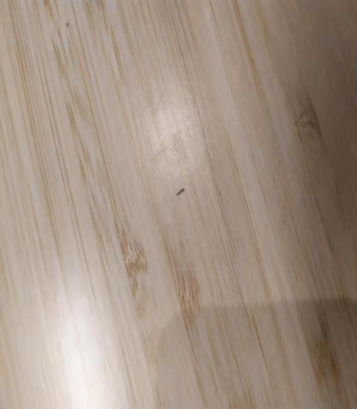 藏在木質(zhì)家具里的蟲子是什么？要怎么消滅？