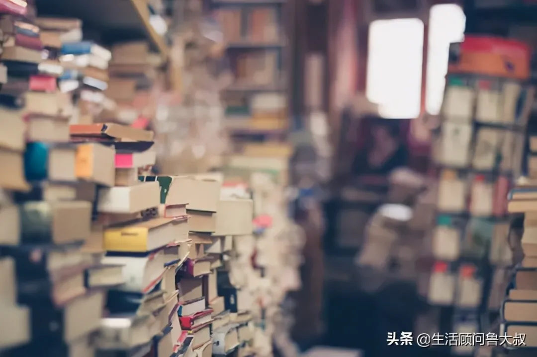 家里有蟲子怎么辦？是什么吸引了它們？
