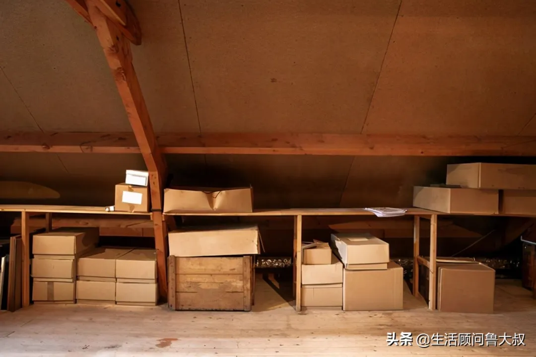 家里有蟲子怎么辦？是什么吸引了它們？