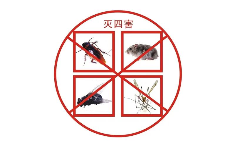 小區(qū)滅四害，有哪些潛在因素？